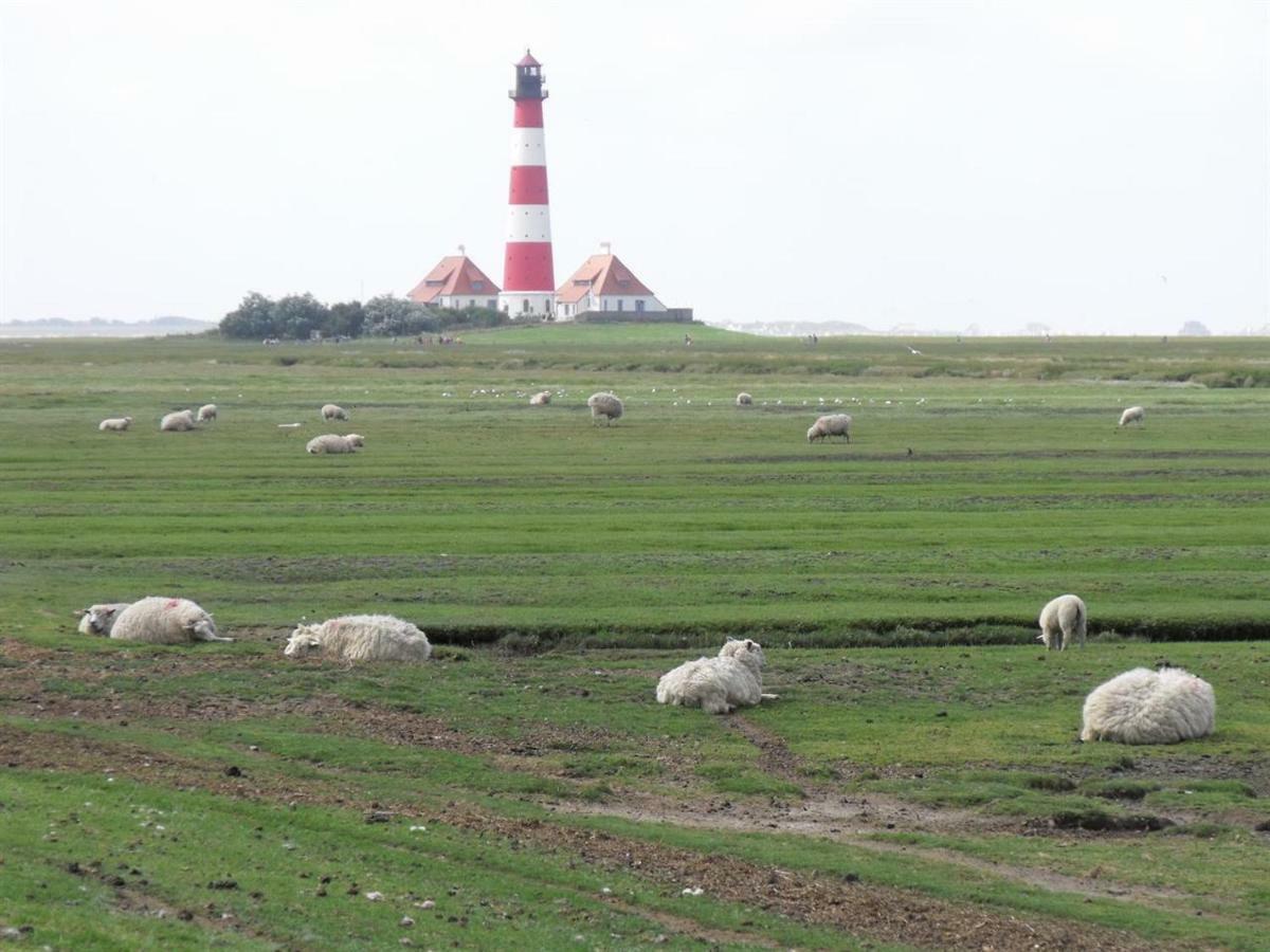 Appartement Deichgans - Haus Loreley Sankt Peter-Ording Eksteriør bilde